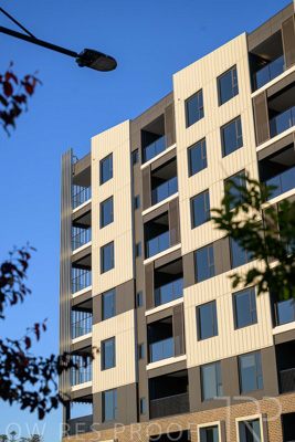 October 2024 / BANKSIA-241009-_Z9C3912