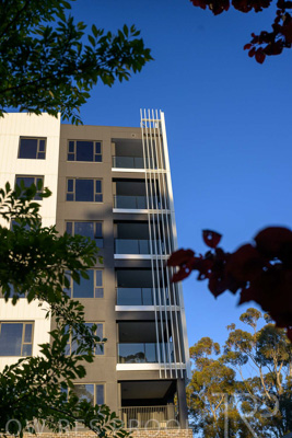 October 2024 / BANKSIA-241009-_Z9C3915