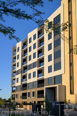 October 2024 / BANKSIA-241009-_Z9C3930