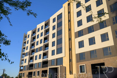 October 2024 / BANKSIA-241009-_Z9C3933