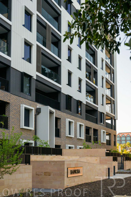 October 2024 / BANKSIA-241009-_Z9C3945