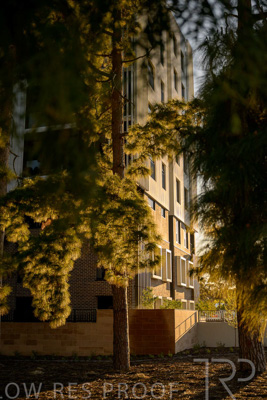 October 2024 / BANKSIA-241009-_Z9C3954