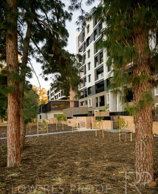 October 2024 / BANKSIA-241009-_Z9C3966