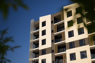 October 2024 / BANKSIA-241009-_Z9C3981