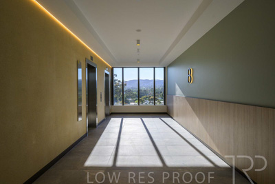 October 2024 / BANKSIA-241009-_Z9C4040