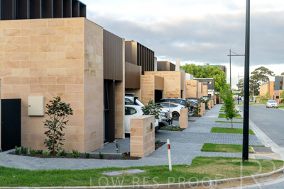 October 2024 / Ceaderwod-TH-241028-_Z9C6756