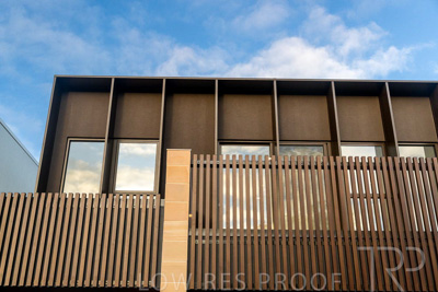 October 2024 / Ceaderwod-TH-241028-_Z9C6786