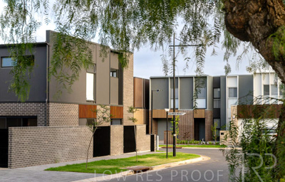 October 2024 / Ceaderwod-TH-241028-_Z9C6849