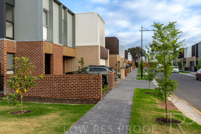 October 2024 / Ceaderwod-TH-241028-_Z9C6864