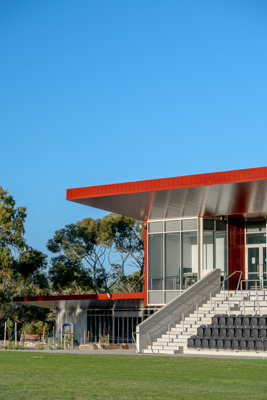 November 2024 / Harpers-Field-241101-_Z8C3431