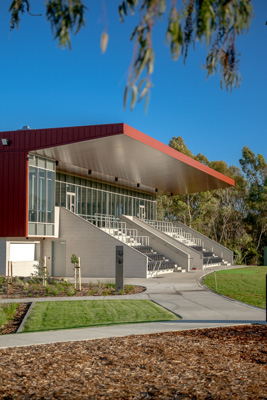 November 2024 / Harpers-Field-241101-_Z8C3462