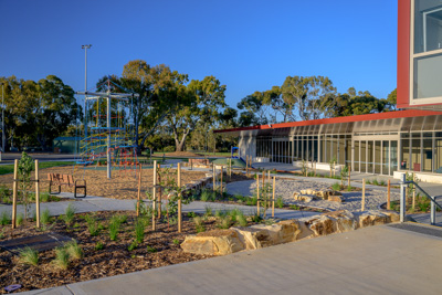 November 2024 / Harpers-Field-241101-_Z9C9070