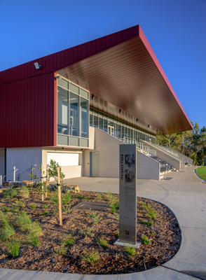 November 2024 / Harpers-Field-241101-_Z9C9076