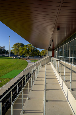 November 2024 / Harpers-Field-241101-_Z9C9112