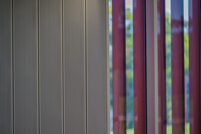 November 2024 / Harpers-Field-241101-_Z9C9220