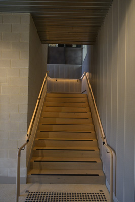 November 2024 / Harpers-Field-241101-_Z9C9386