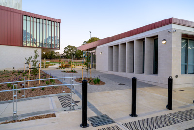 November 2024 / Harpers-Field-241107-_Z9C4407