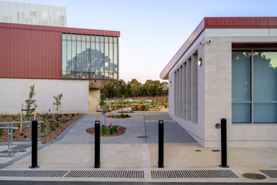 November 2024 / Harpers-Field-241107-_Z9C4419