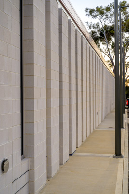 November 2024 / Harpers-Field-241107-_Z9C4431