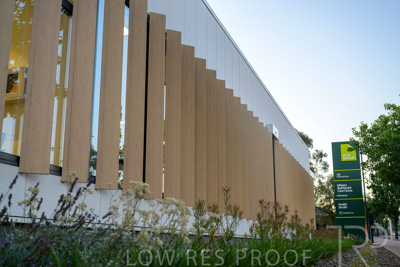 January 2025 / ACH-MIlpara-Rostrevor-250114-_Z9C7805