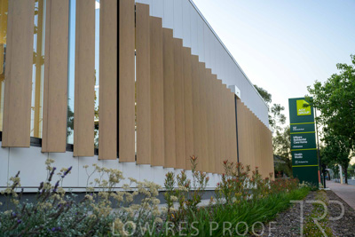 January 2025 / ACH-MIlpara-Rostrevor-250114-_Z9C7810