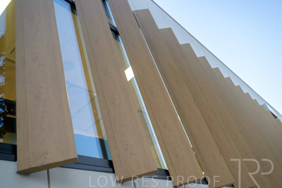 January 2025 / ACH-MIlpara-Rostrevor-250114-_Z9C7835