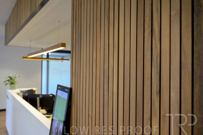 January 2025 / ACH-MIlpara-Rostrevor-250114-_Z9C8042