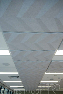 January 2025 / ACH-MIlpara-Rostrevor-250114-_Z9C8187