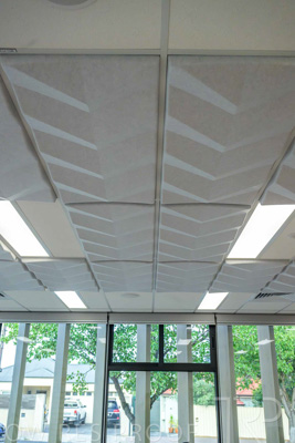 January 2025 / ACH-MIlpara-Rostrevor-250114-_Z9C8202