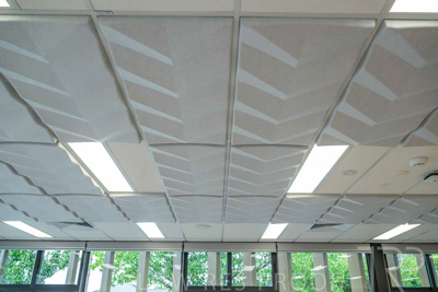 January 2025 / ACH-MIlpara-Rostrevor-250114-_Z9C8207