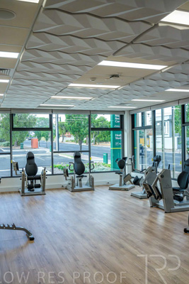 January 2025 / ACH-MIlpara-Rostrevor-250114-_Z9C8217