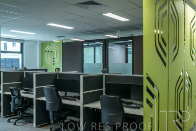 January 2025 / ACH-MIlpara-Rostrevor-250114-_Z9C8242