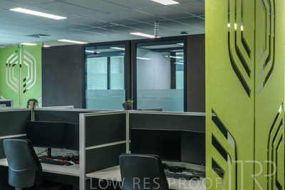 January 2025 / ACH-MIlpara-Rostrevor-250114-_Z9C8247