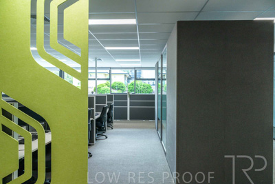 January 2025 / ACH-MIlpara-Rostrevor-250114-_Z9C8252