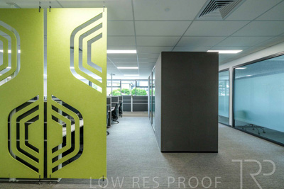 January 2025 / ACH-MIlpara-Rostrevor-250114-_Z9C8257