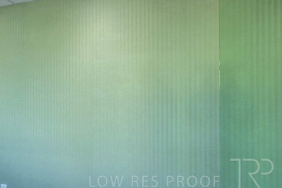 January 2025 / ACH-MIlpara-Rostrevor-250114-_Z9C8387