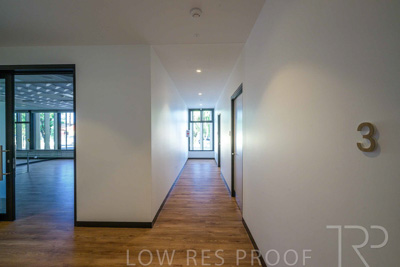 January 2025 / ACH-MIlpara-Rostrevor-250114-_Z9C8447