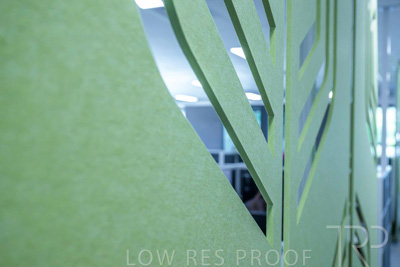 January 2025 / ACH-MIlpara-Rostrevor-250114-_Z9C8497