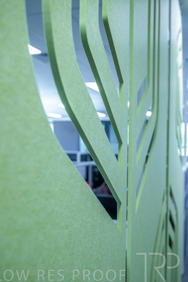 January 2025 / ACH-MIlpara-Rostrevor-250114-_Z9C8498