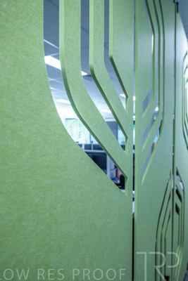 January 2025 / ACH-MIlpara-Rostrevor-250114-_Z9C8499