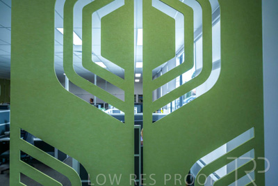 January 2025 / ACH-MIlpara-Rostrevor-250114-_Z9C8503