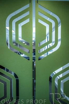 January 2025 / ACH-MIlpara-Rostrevor-250114-_Z9C8505