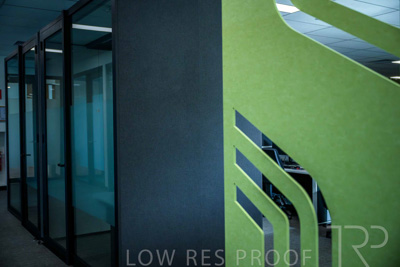 January 2025 / ACH-MIlpara-Rostrevor-250114-_Z9C8506