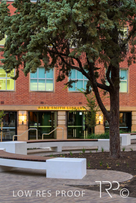 March 2025 / UoA-Public-Realm-250308-_Z8C7925