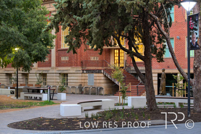 March 2025 / UoA-Public-Realm-250308-_Z8C7928