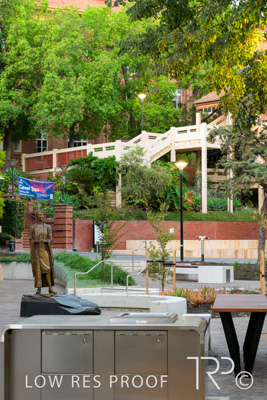 March 2025 / UoA-Public-Realm-250308-_Z8C7967