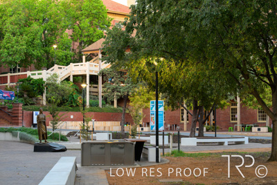 March 2025 / UoA-Public-Realm-250308-_Z8C7973