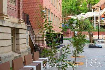 March 2025 / UoA-Public-Realm-250308-_Z8C7985