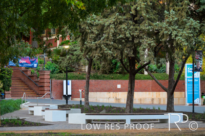 March 2025 / UoA-Public-Realm-250308-_Z8C8020