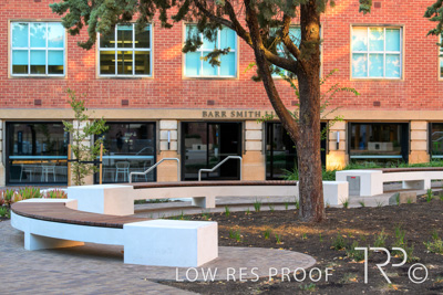 March 2025 / UoA-Public-Realm-250308-_Z8C8029